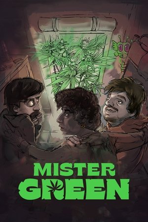 Mister Green (2024) Hindi (MULTI AUDIO) &ndash; &ndash;